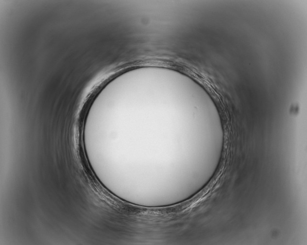 X0000100470294200806130801