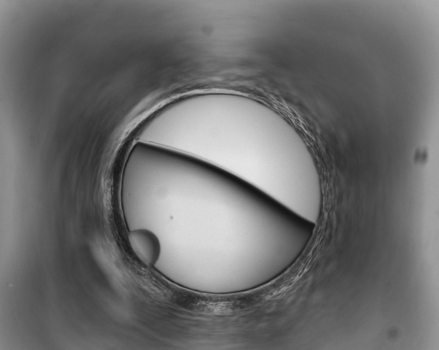 X0000100470295200806130801