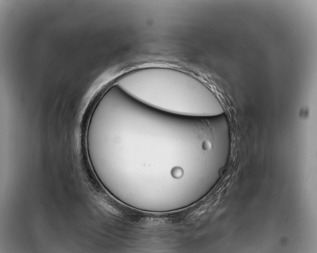X0000100470296200806130801
