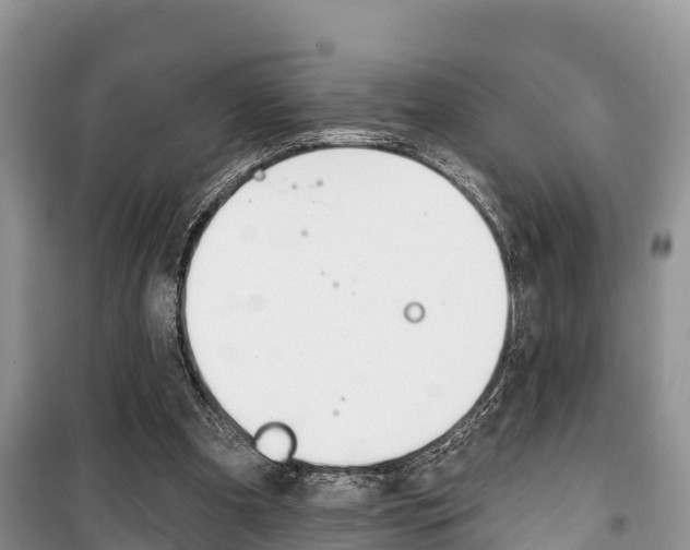X0000100470297200806130801