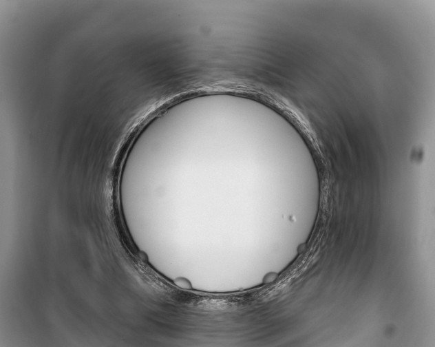 X0000100470298200806130801