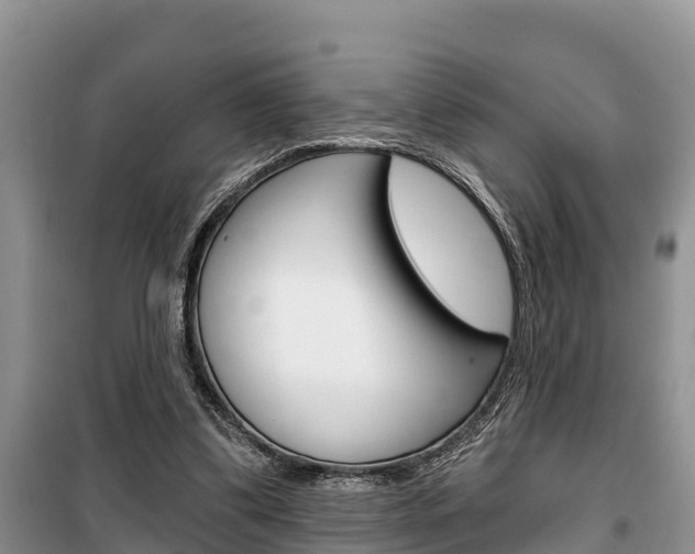 X0000100470299200806130801