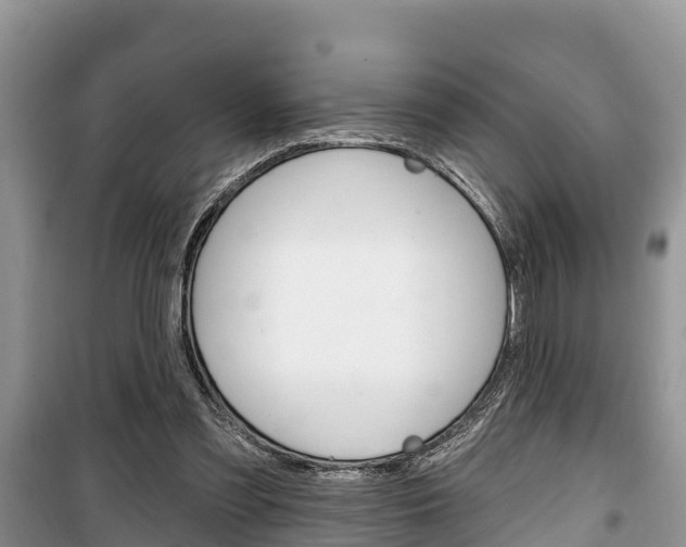 X0000100470301200806130801