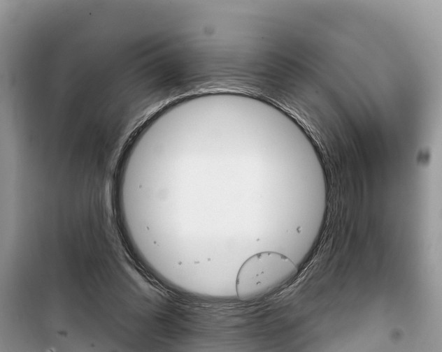 X0000100470302200806130801