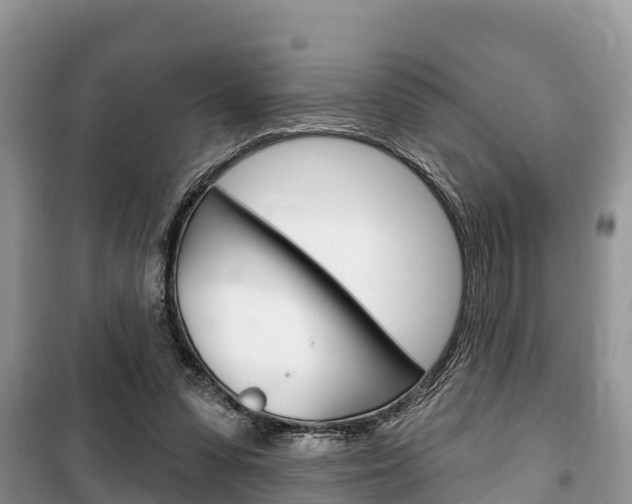 X0000100470303200806130801