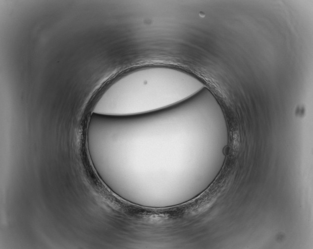X0000100470304200806130801