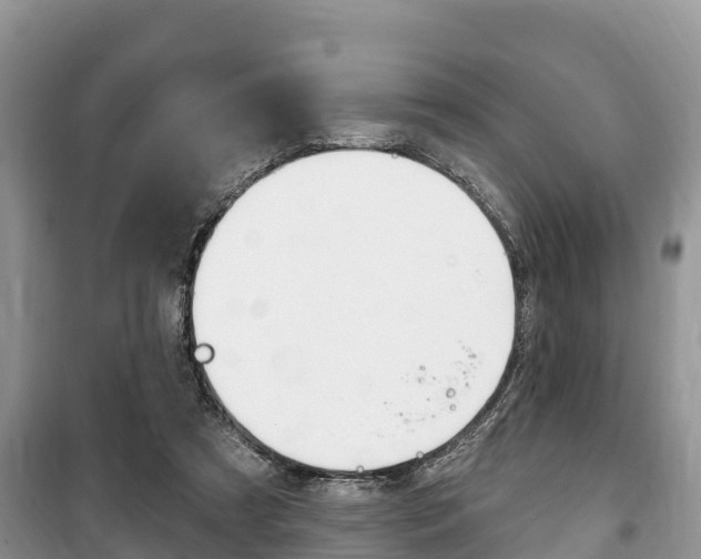 X0000100470305200806130801