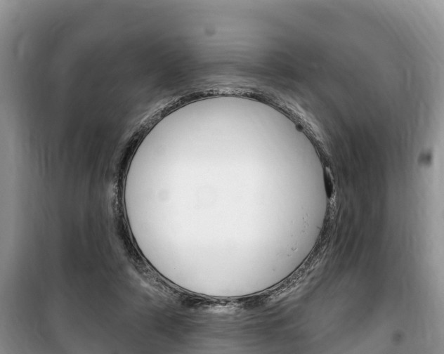 X0000100470306200806130801