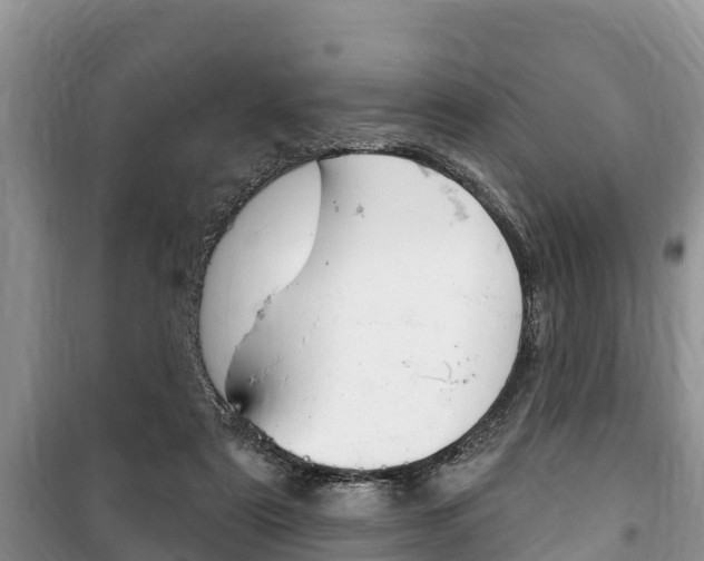 X0000100470307200806130801