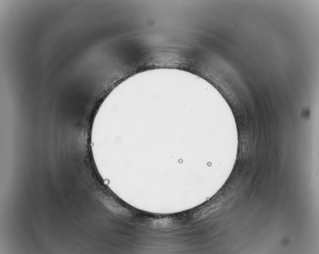 X0000100470309200806130801