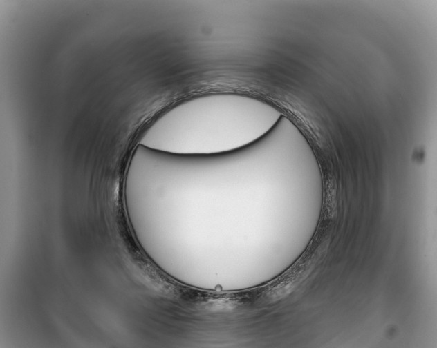 X0000100470310200806130801