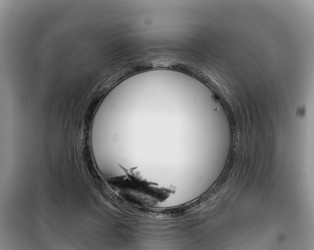 X0000100470311200806130801