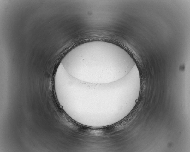 X0000100470313200806130801