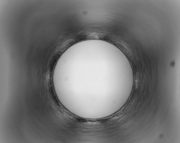 X0000100470314200806130800