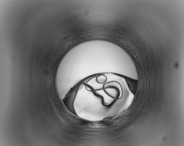 X0000100470316200806130800