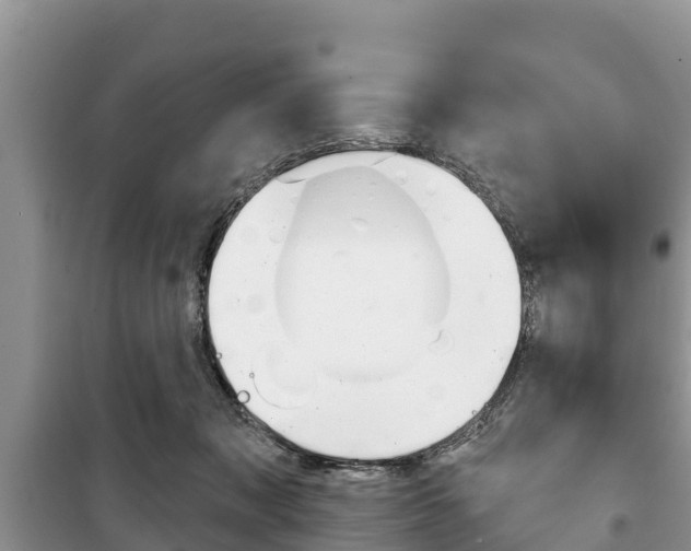 X0000100470317200806130800