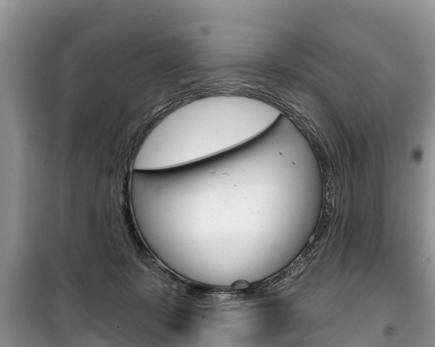X0000100470319200806130800