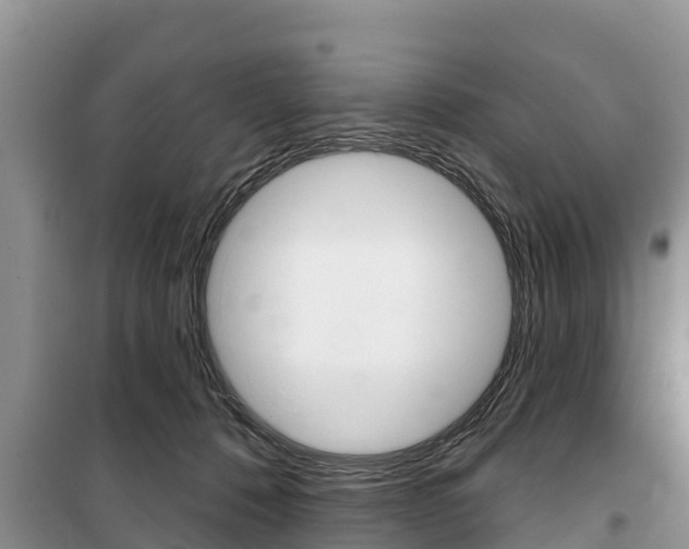 X0000100470320200806130800