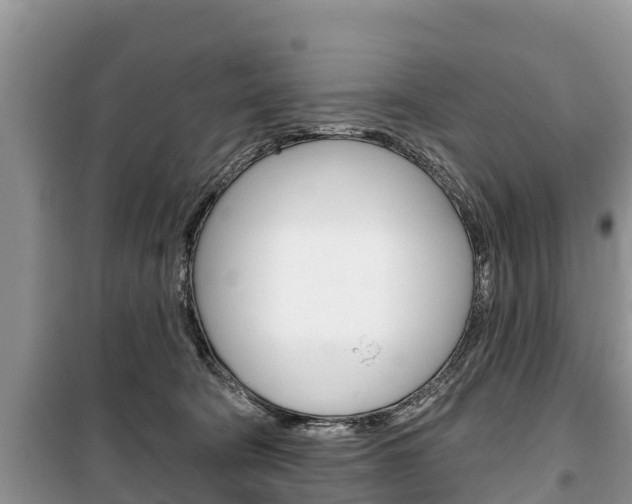 X0000100470322200806130800