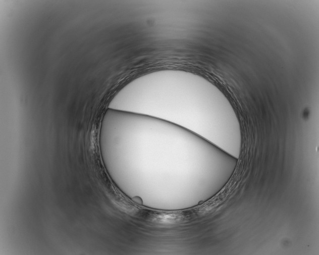 X0000100470323200806130800