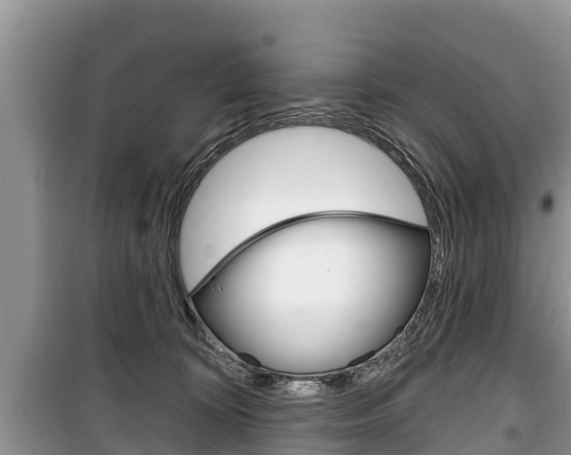 X0000100470324200806130800