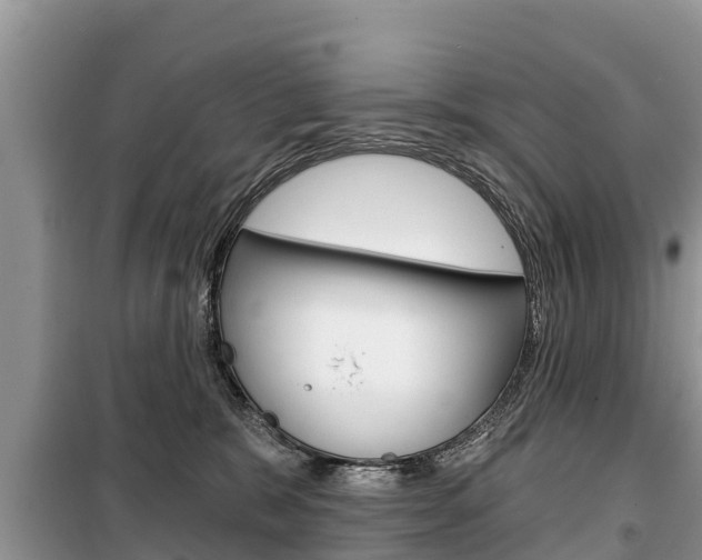 X0000100470327200806130800
