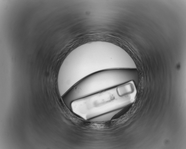 X0000100470328200806130800