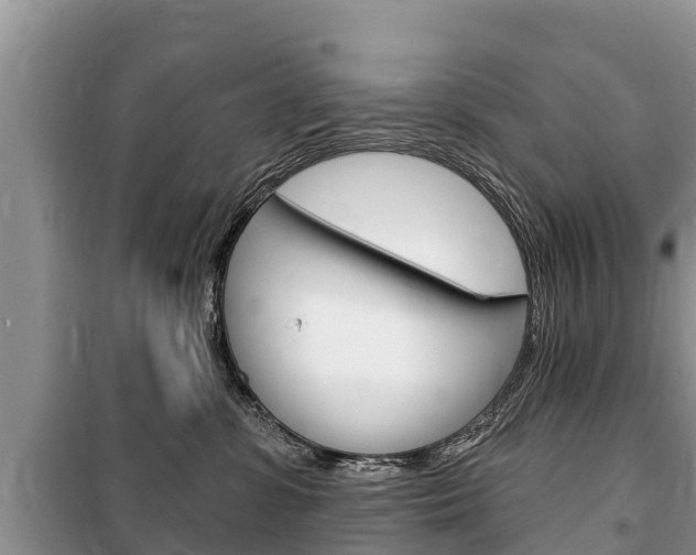X0000100470331200806130800