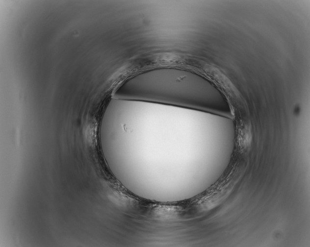 X0000100470332200806130800