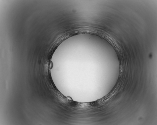 X0000100470333200806130800