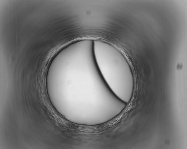 X0000100470337200806130759