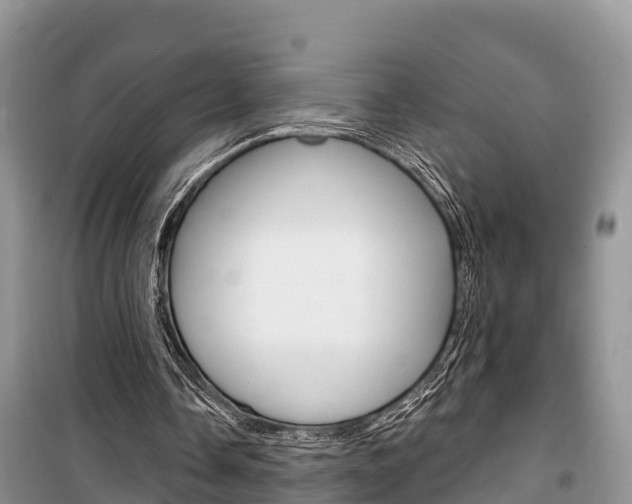 X0000100470338200806130759