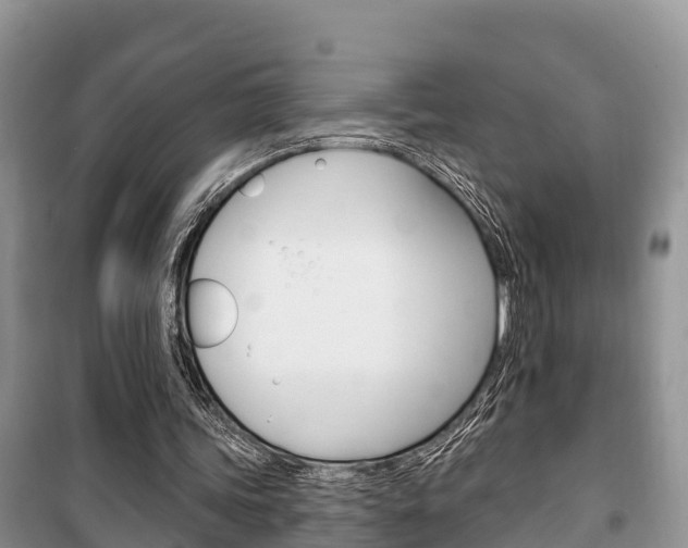X0000100470339200806130759