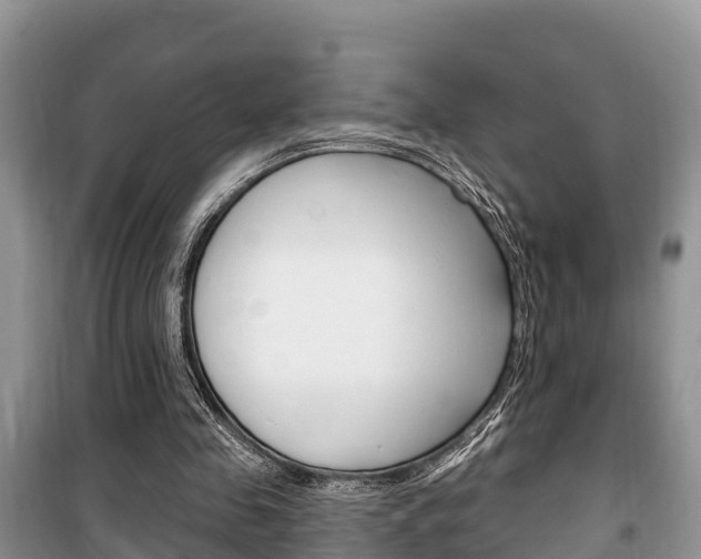 X0000100470341200806130759