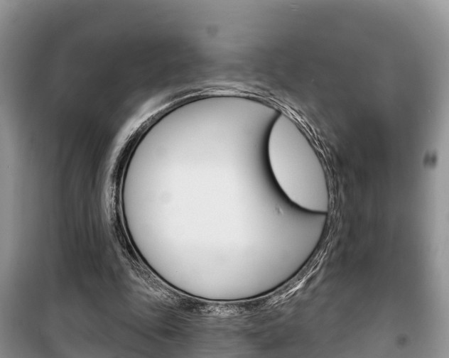 X0000100470343200806130759