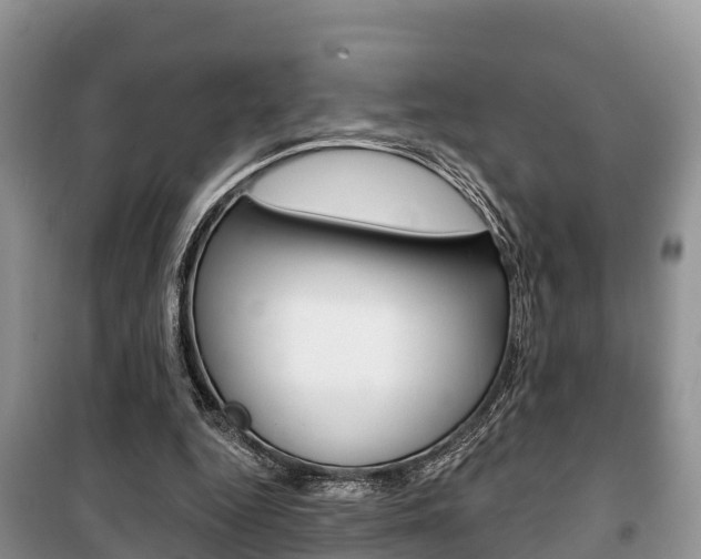 X0000100470344200806130759