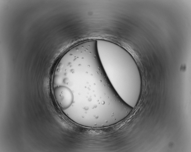 X0000100470346200806130759