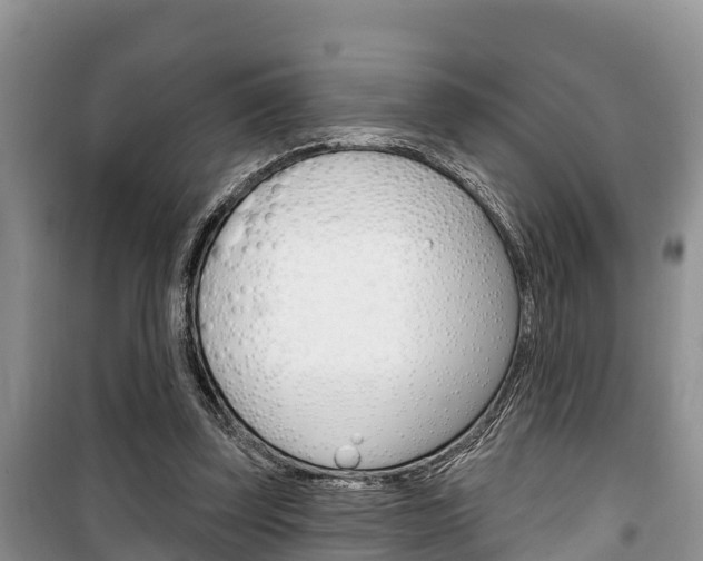 X0000100470347200806130759