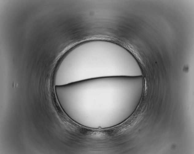 X0000100470348200806130800
