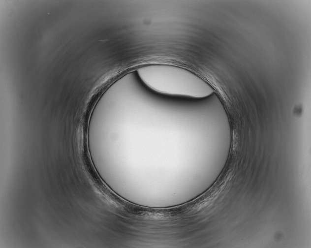 X0000100470349200806130800