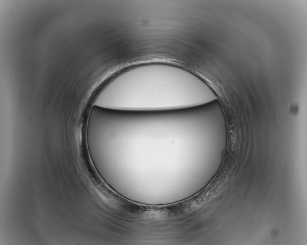 X0000100470350200806130800