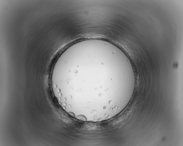 X0000100470351200806130800