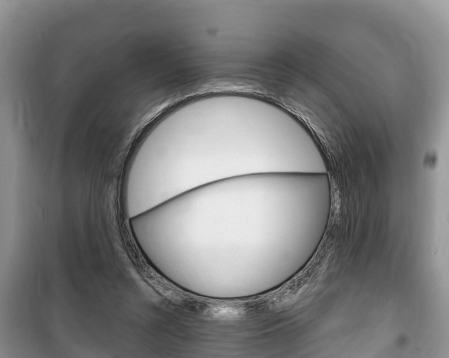 X0000100470352200806130800