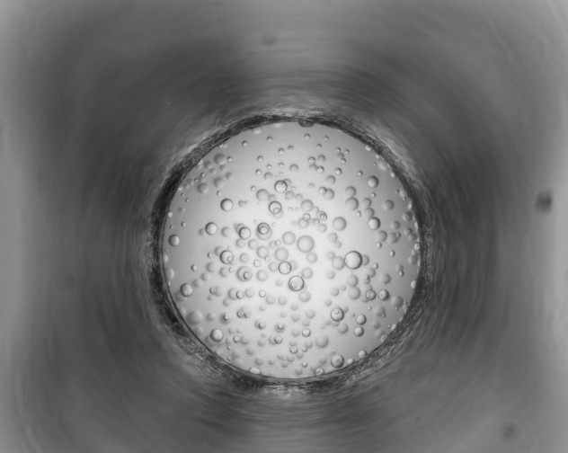 X0000100470354200806130800