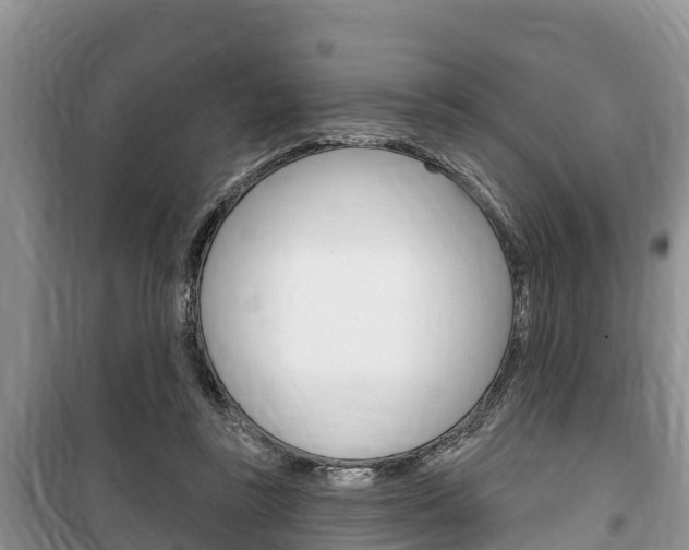 X0000100470355200806130800