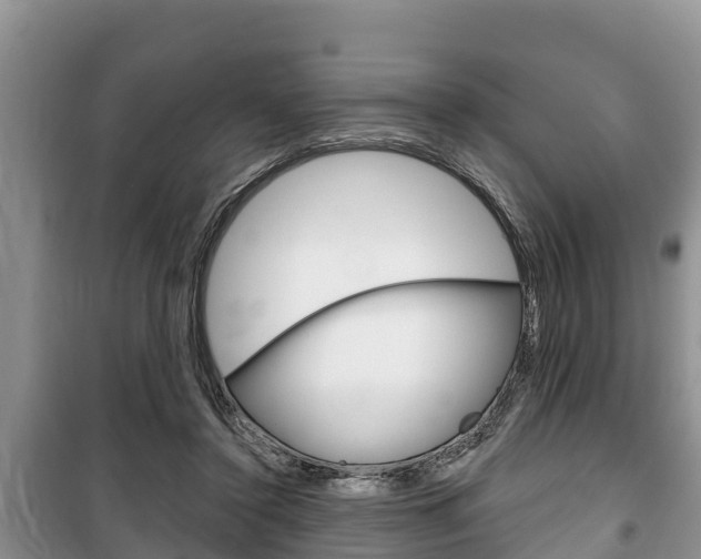 X0000100470356200806130800