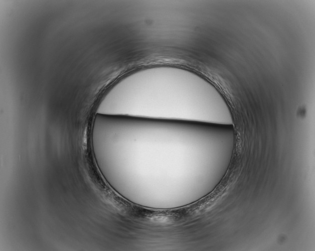 X0000100470358200806130800