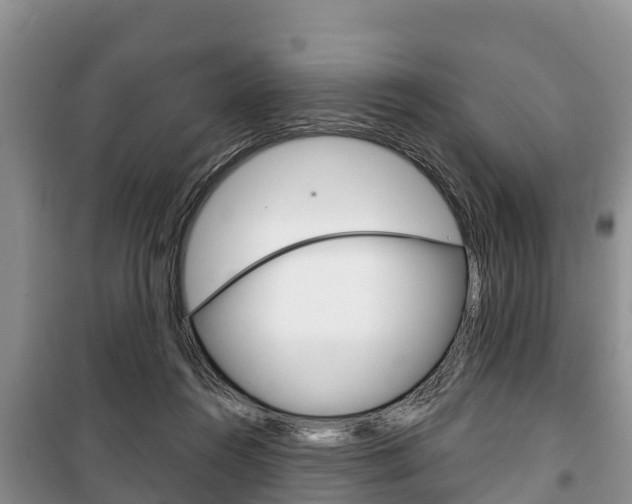 X0000100470360200806130800