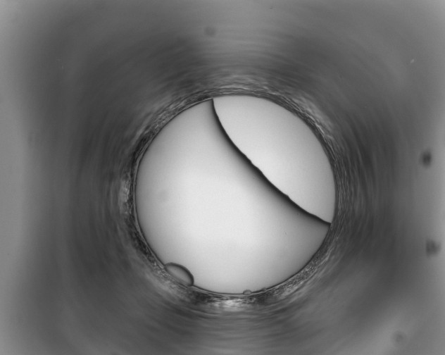 X0000100470365200806130800