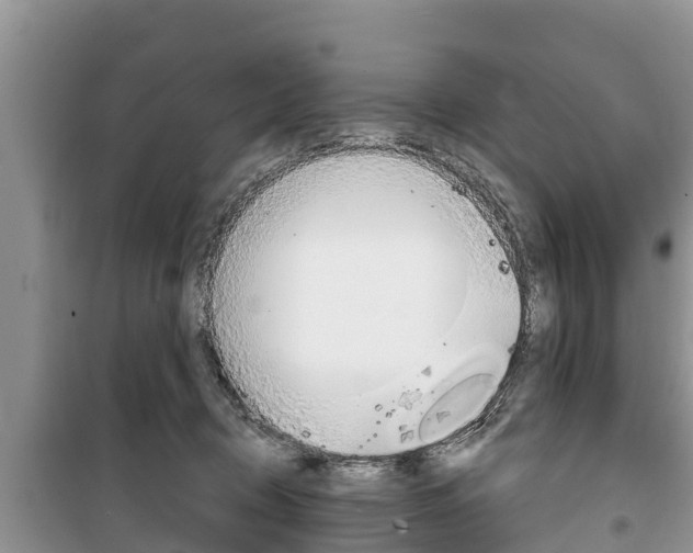 X0000100470370200806130800